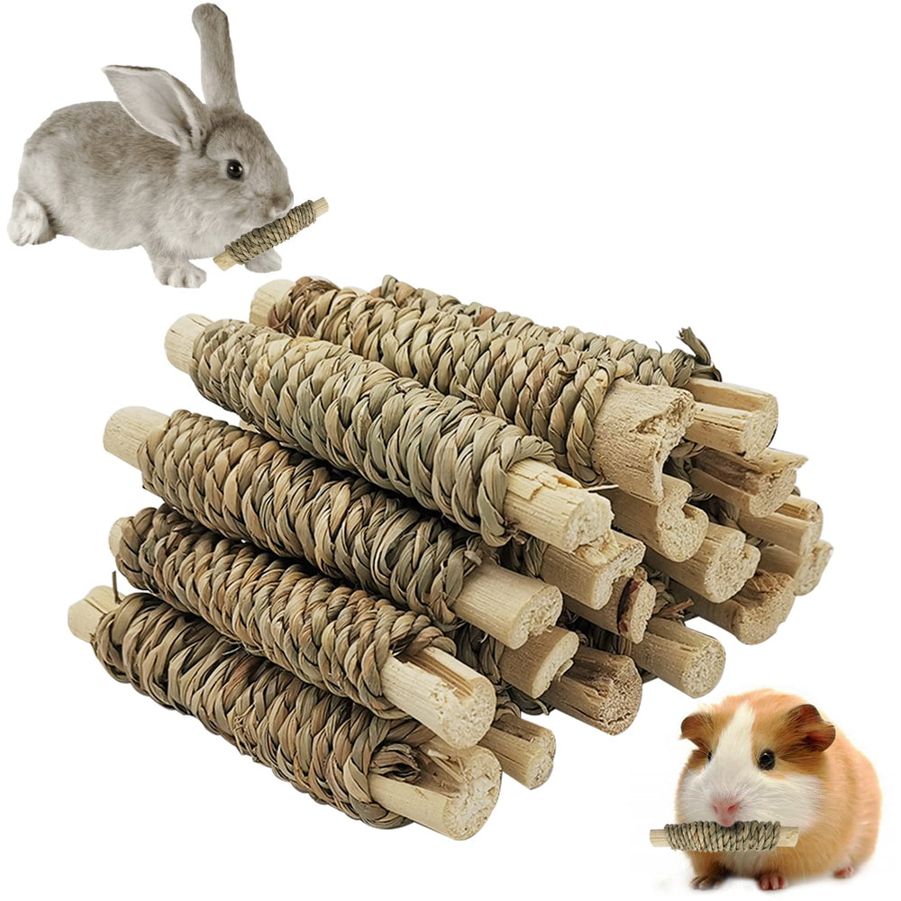 Fhiny guinea pig chew toys seagrass texture ideal for gentle gnawing and dental play