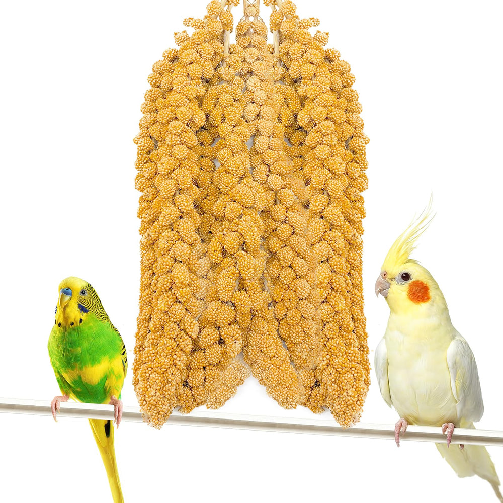 Fhiny millet spray for birds in a bag open, natural snack for feathered health.