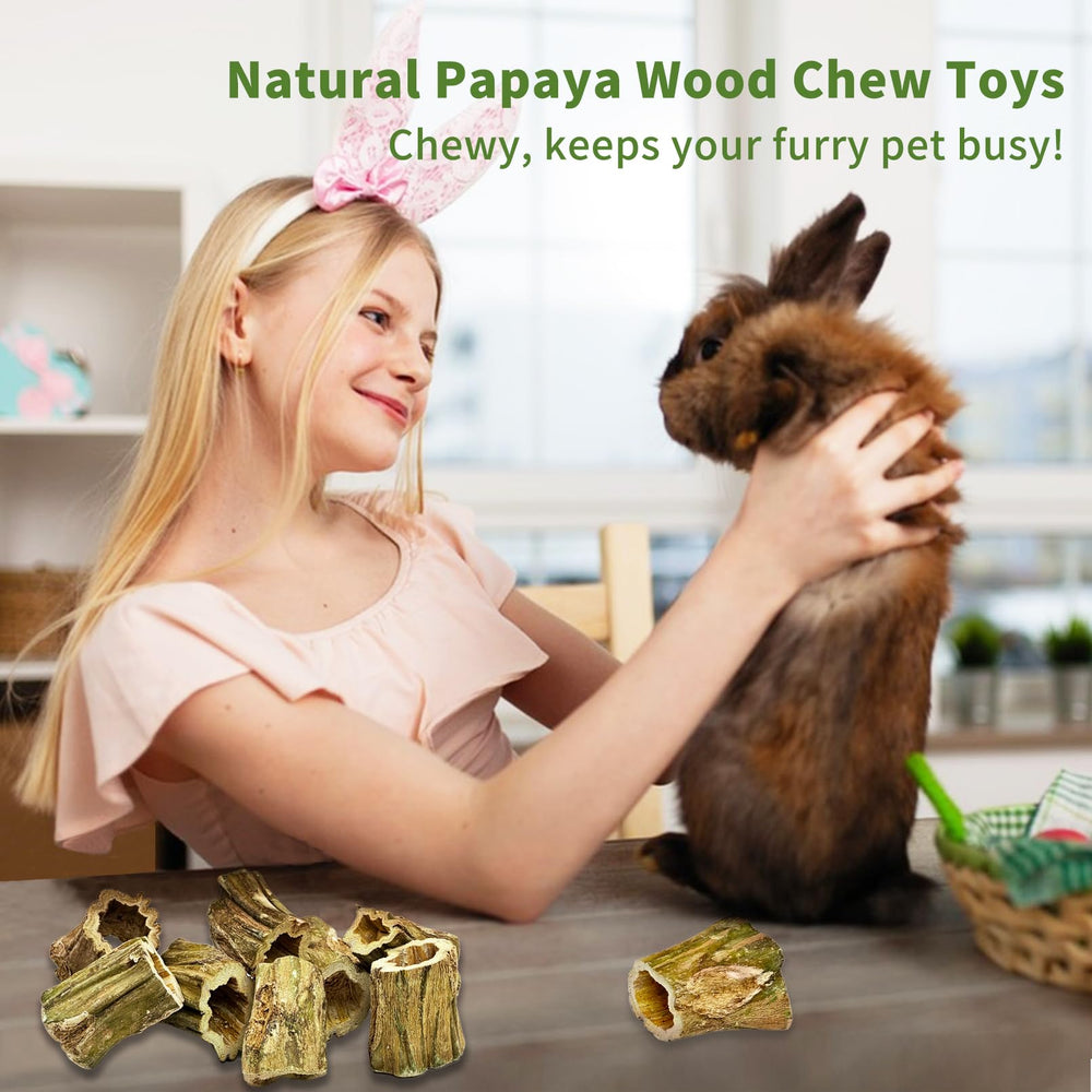 Fhiny rabbit-chew-toys small-pets-snacks ideal enrichment and nibbling outlet