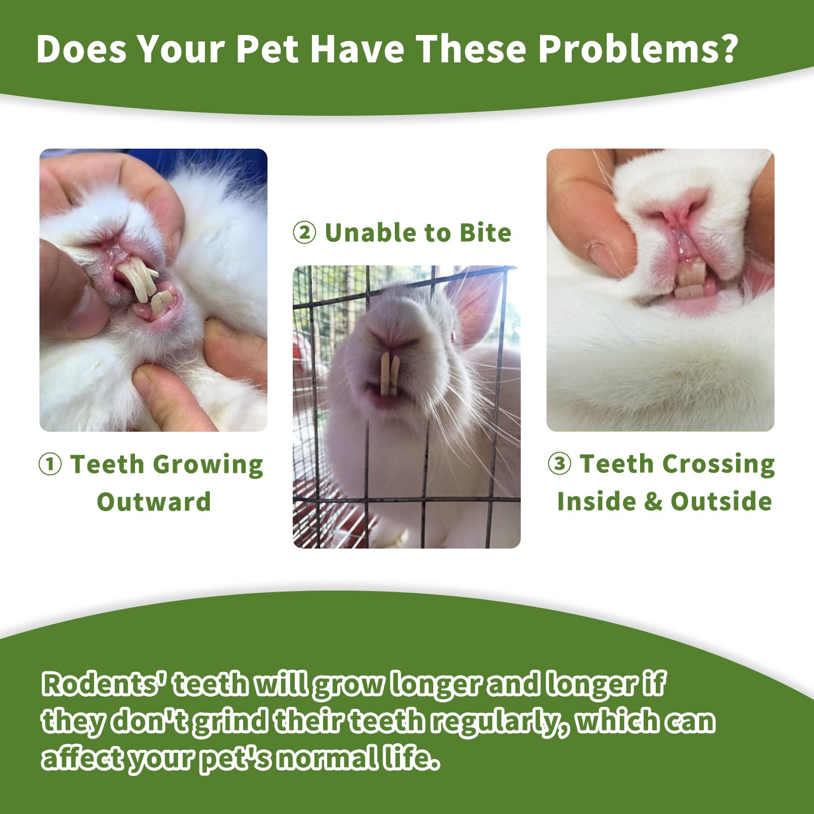 Fhiny rabbit-chew-toys wood-texture natural-wood closeup shows organic material