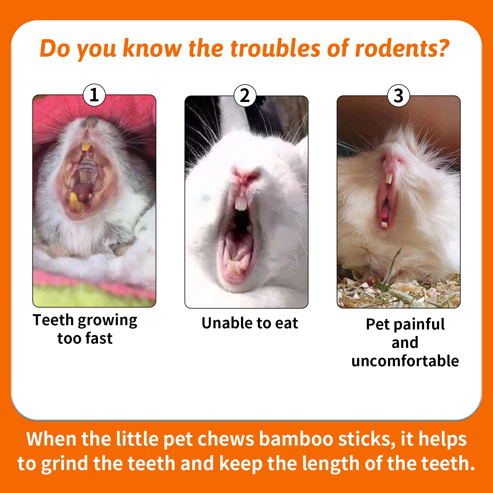Fhiny small animal chew pack helps keep rabbits guinea pigs engaged.