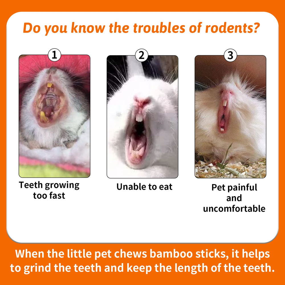 Fhiny small animal chew pack helps keep rabbits guinea pigs engaged.