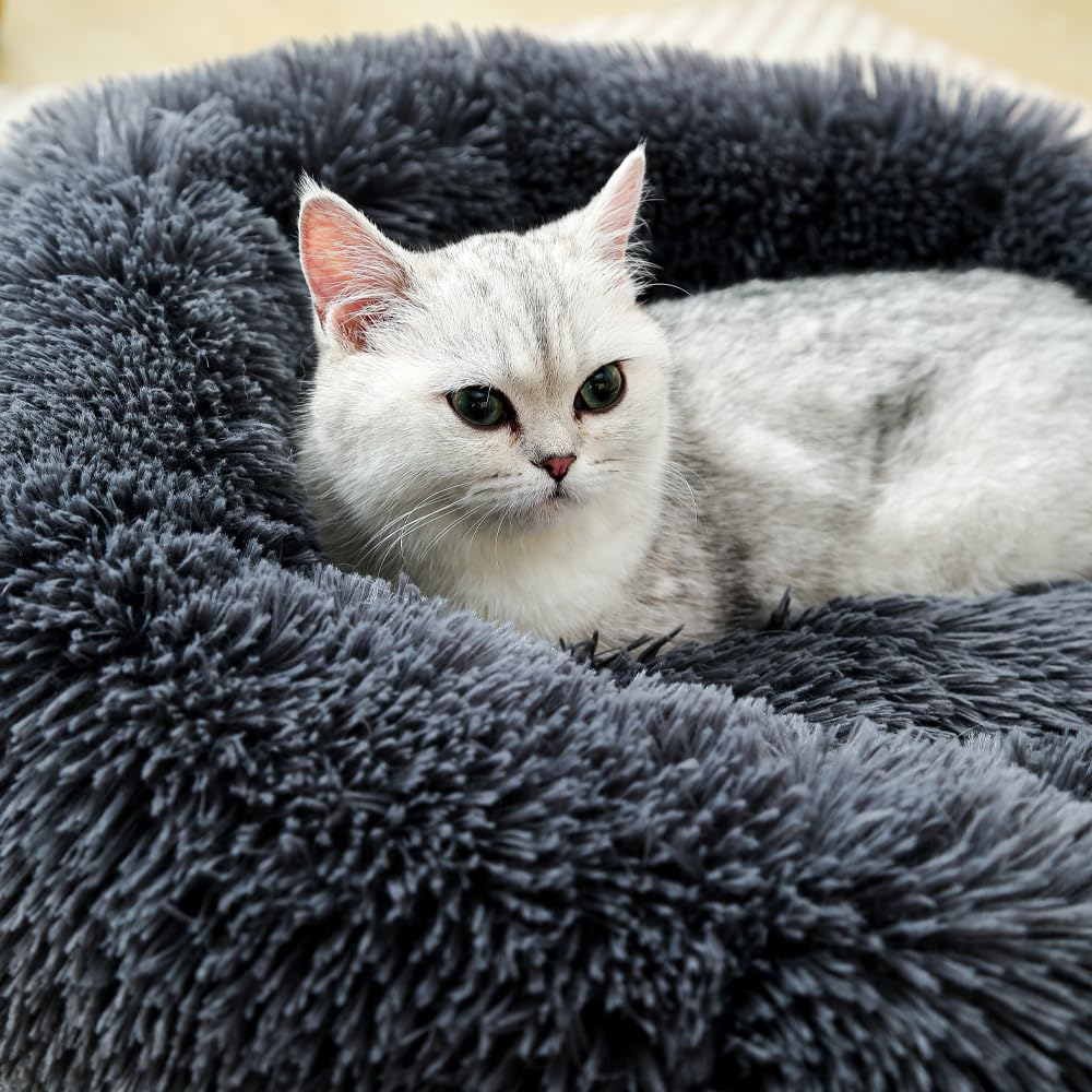 Fhodigogo Donut Bed cat-dog-use demonstrates versatility for small pets