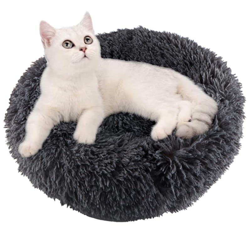 Fhodigogo Donut Bed packaged image shows compression-ready packaging