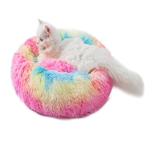 Fhodigogo Donut Pet Bed in-use by a tiny pet offering restful lounging