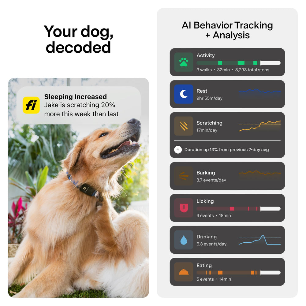 Fi Mini compact, lightweight design fits virtually any collar without hindering movement.