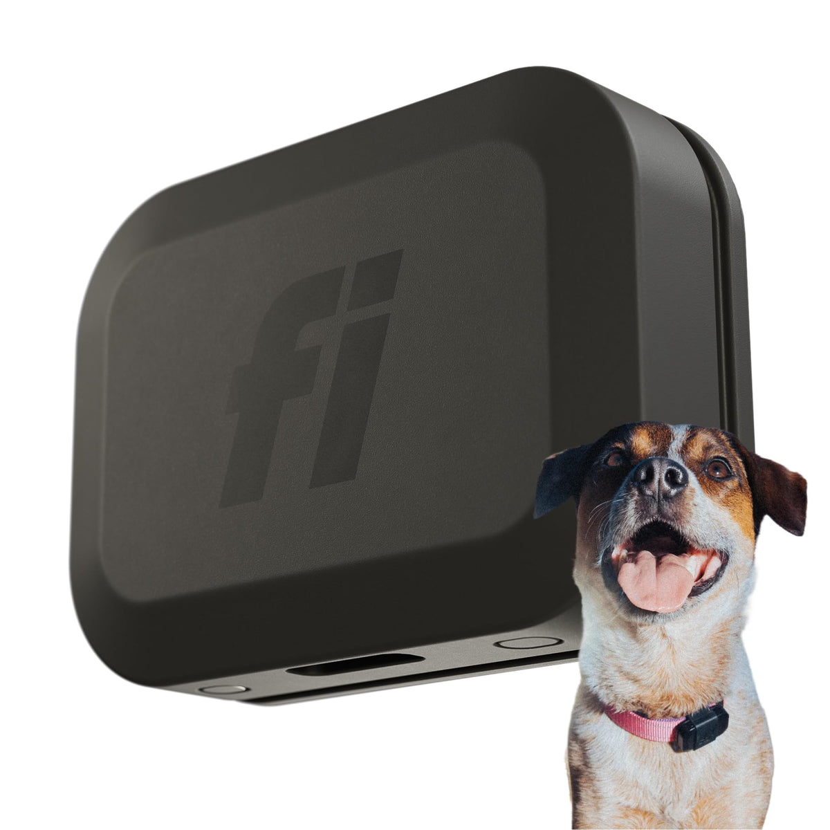 Fi Mini dog tracker on a collar for real-time location monitoring during walks.
