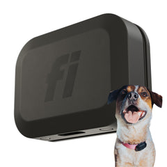 Fi Mini dog tracker on a collar for real-time location monitoring during walks.