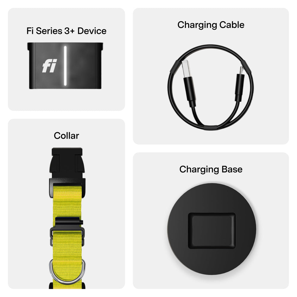 Fi Series 3+ 12-month membership included with packaging