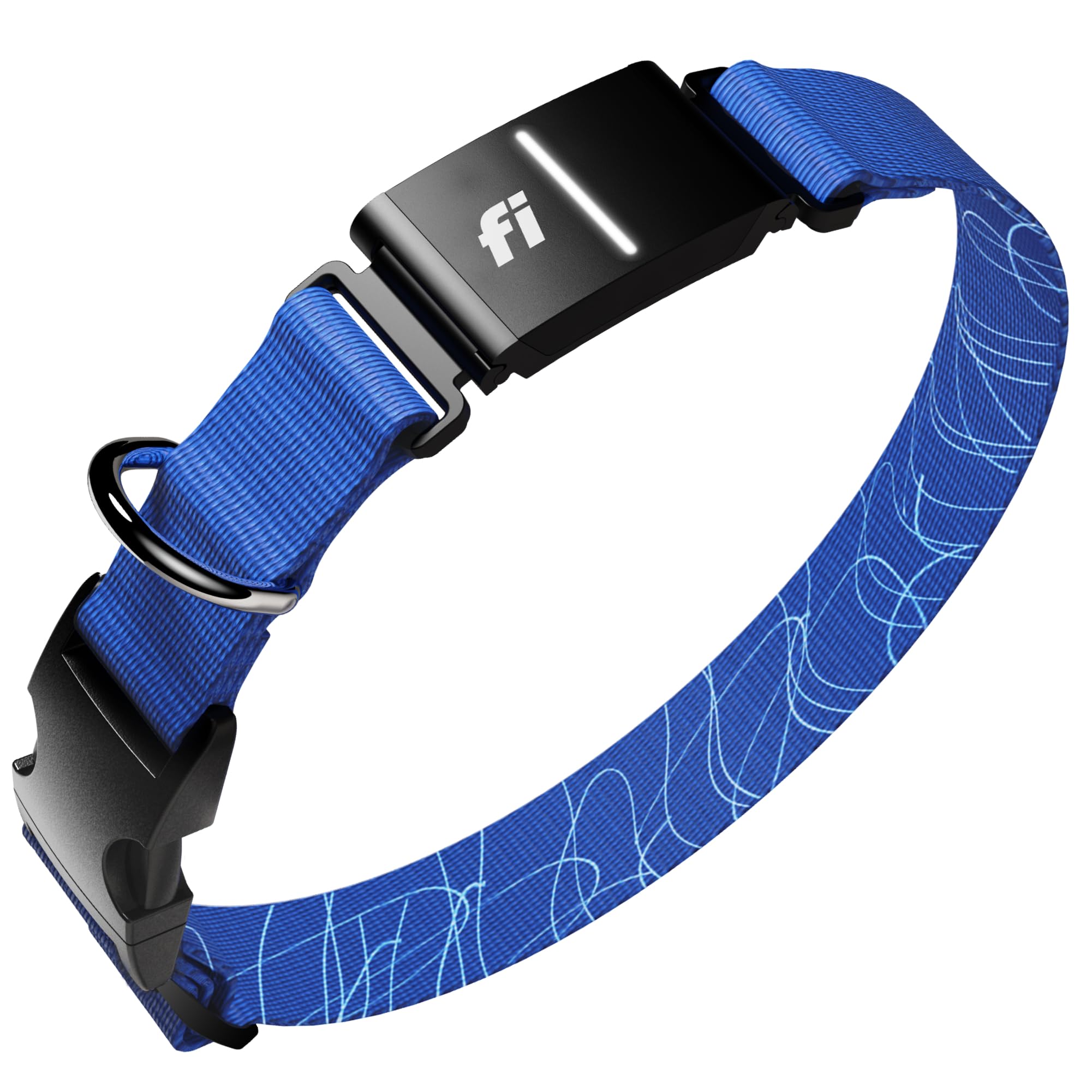 Fi Series 3+ dog tracker collar front view shows real-time GPS location at a glance.