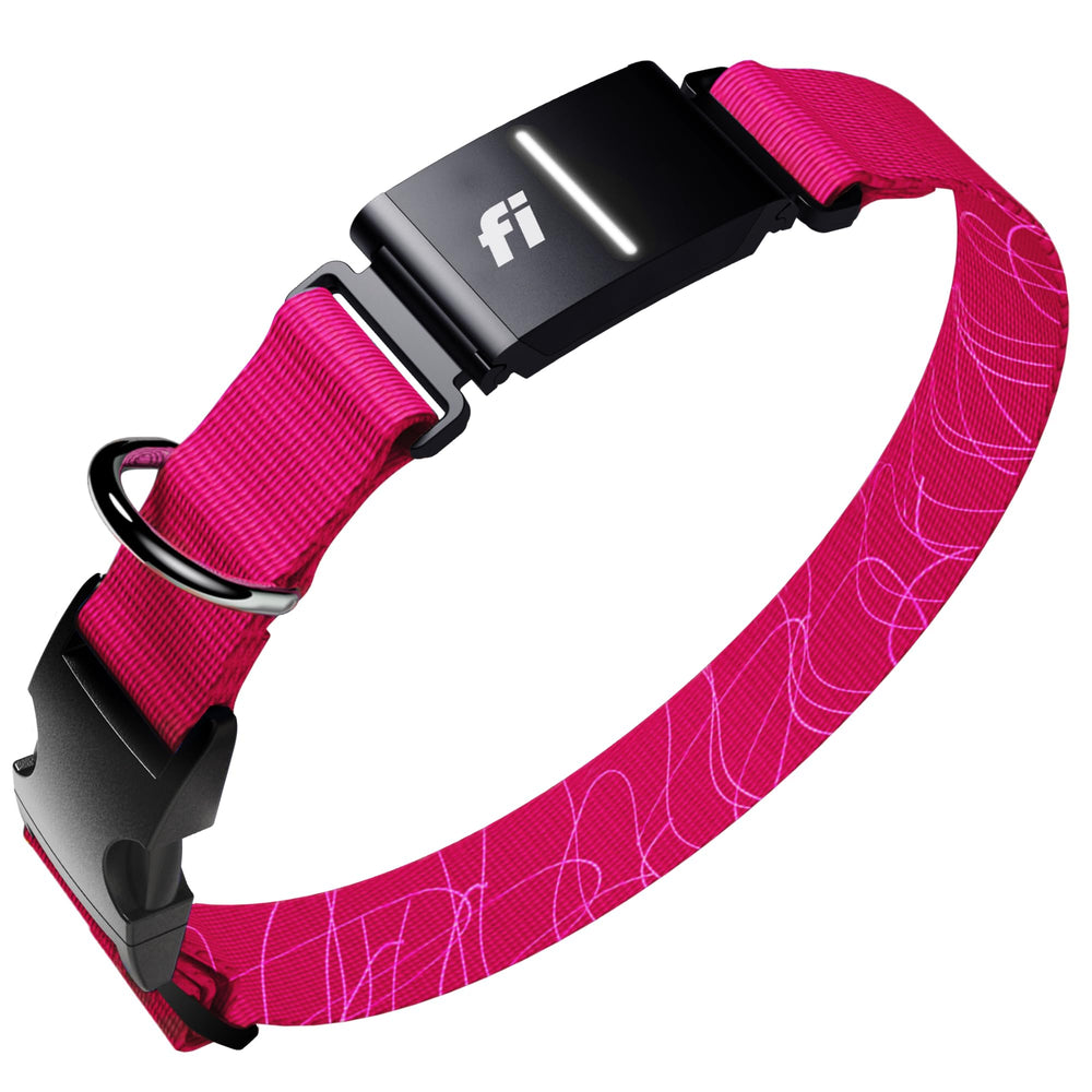 Fi Series 3+ dog tracker location live view for real-time position