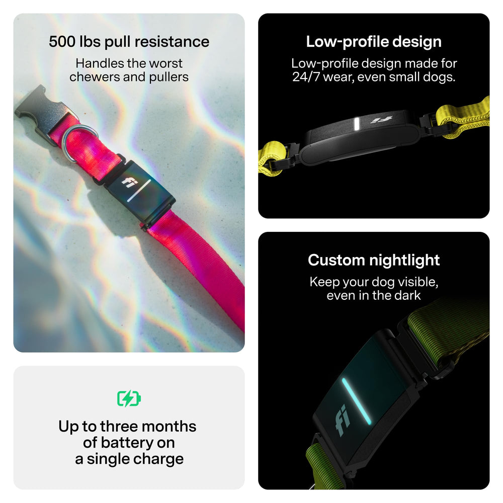 Fi Series 3+ health and behavior tracking visualizes activity and rest