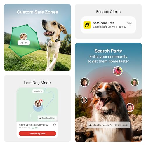Fi Series 3+ health and behavior tracking reveals activity and rest patterns in the Fi app.