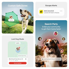 Fi Series 3+ health and behavior tracking reveals activity and rest patterns in the Fi app.