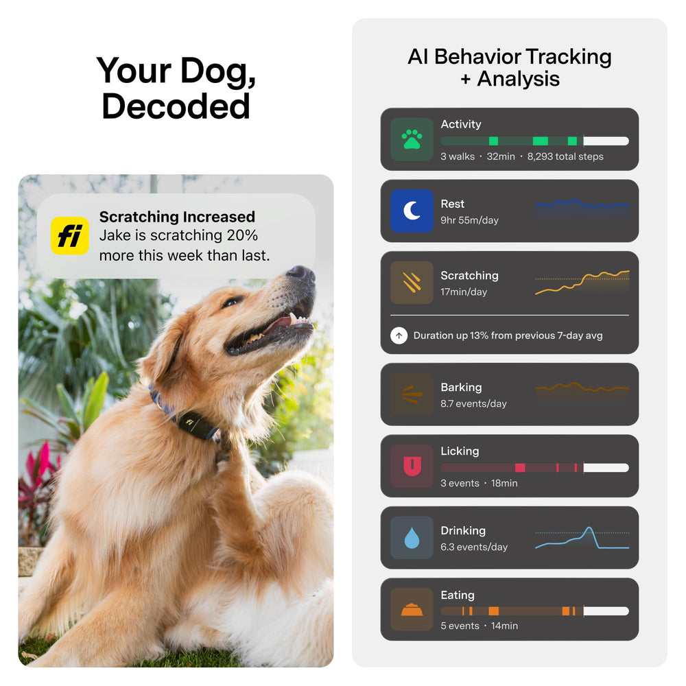 Fi Series 3+ vet records in-app keeps medical documents organized for quick access.