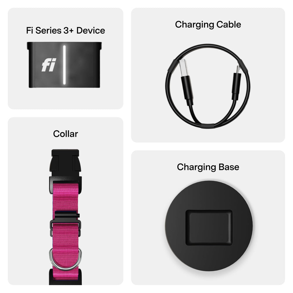 Fi Series 3+ vet records interface stores medical documents securely