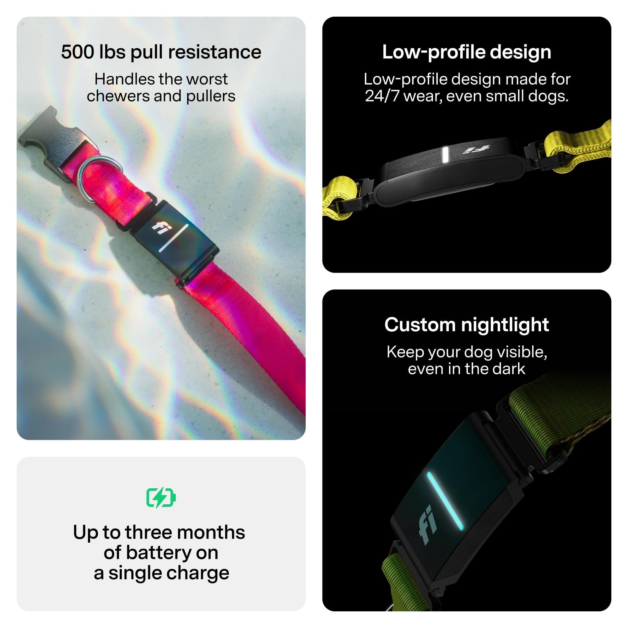 Fi Series 3+ health and behavior tracking highlights activity, rest, and signals for well-being.