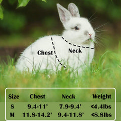 FiboPawer Rabbit Harness Adjustable-Straps for a comfortable, secure fit.