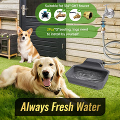 Ficuswin BPA-free HDPE construction supports durable outdoor use.