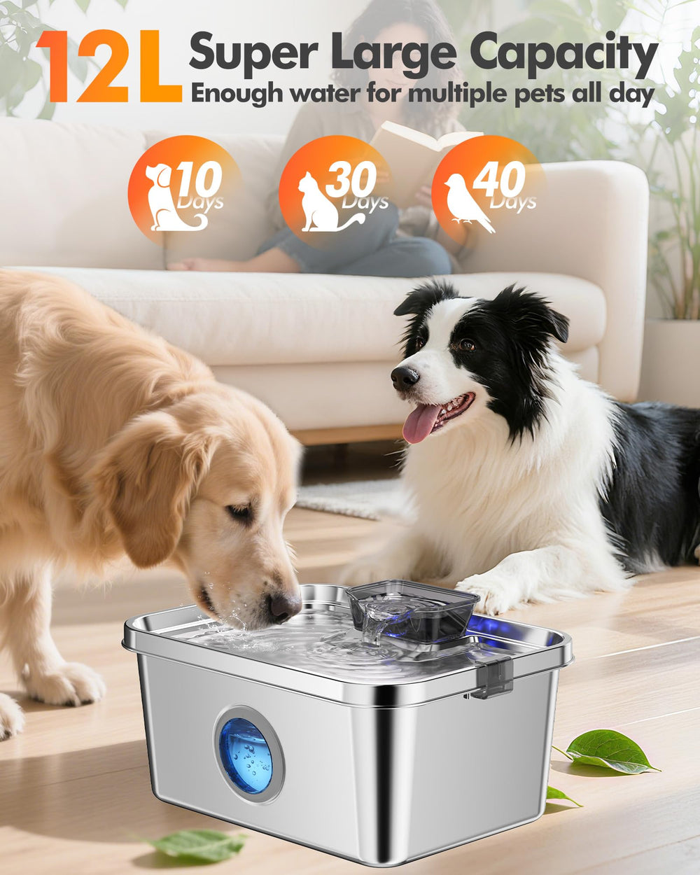 Ficuswin complete kit includes filters and accessories for setup.