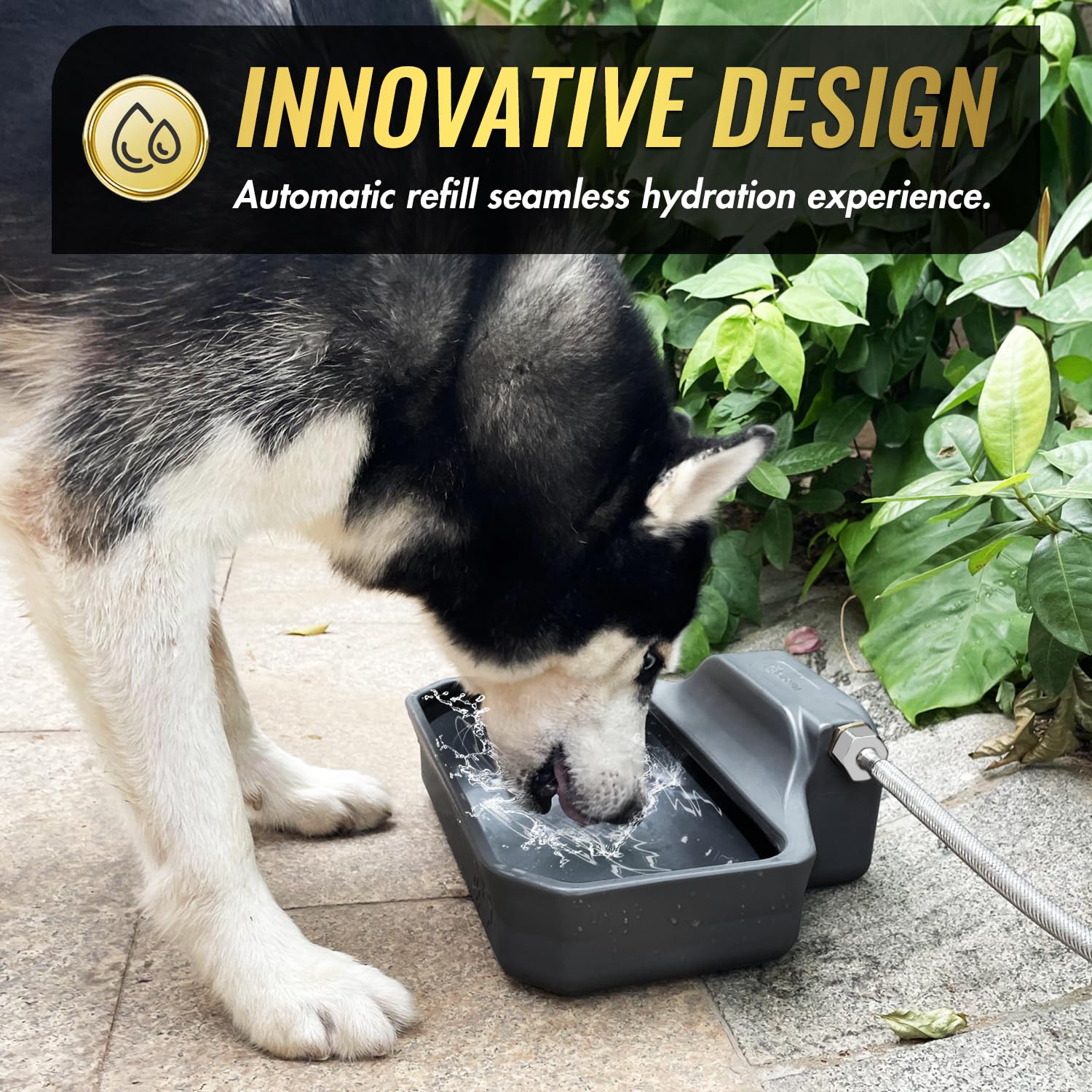 Ficuswin cleaning brush supports hygiene with simple maintenance.