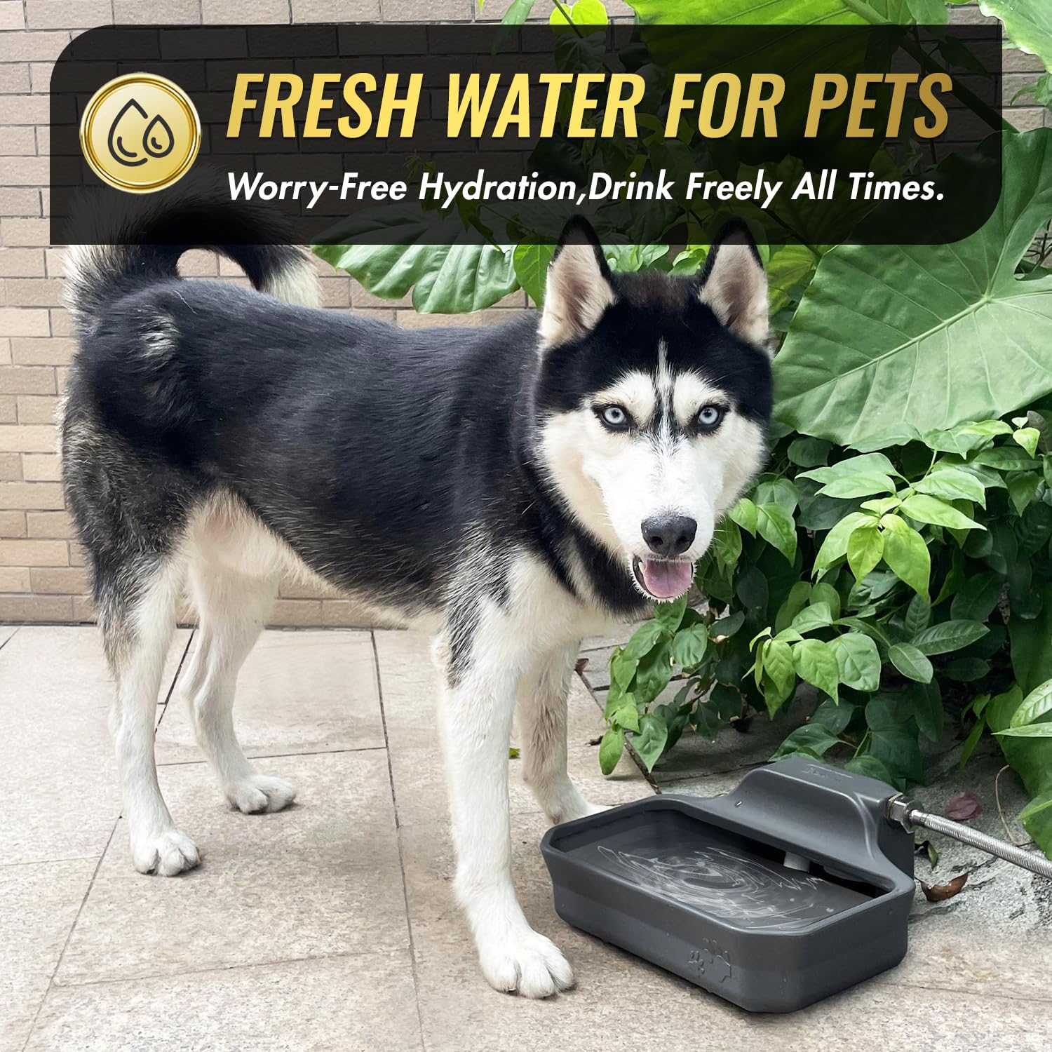 Ficuswin extra-large drinking area suits multiple pets and outdoor environments.