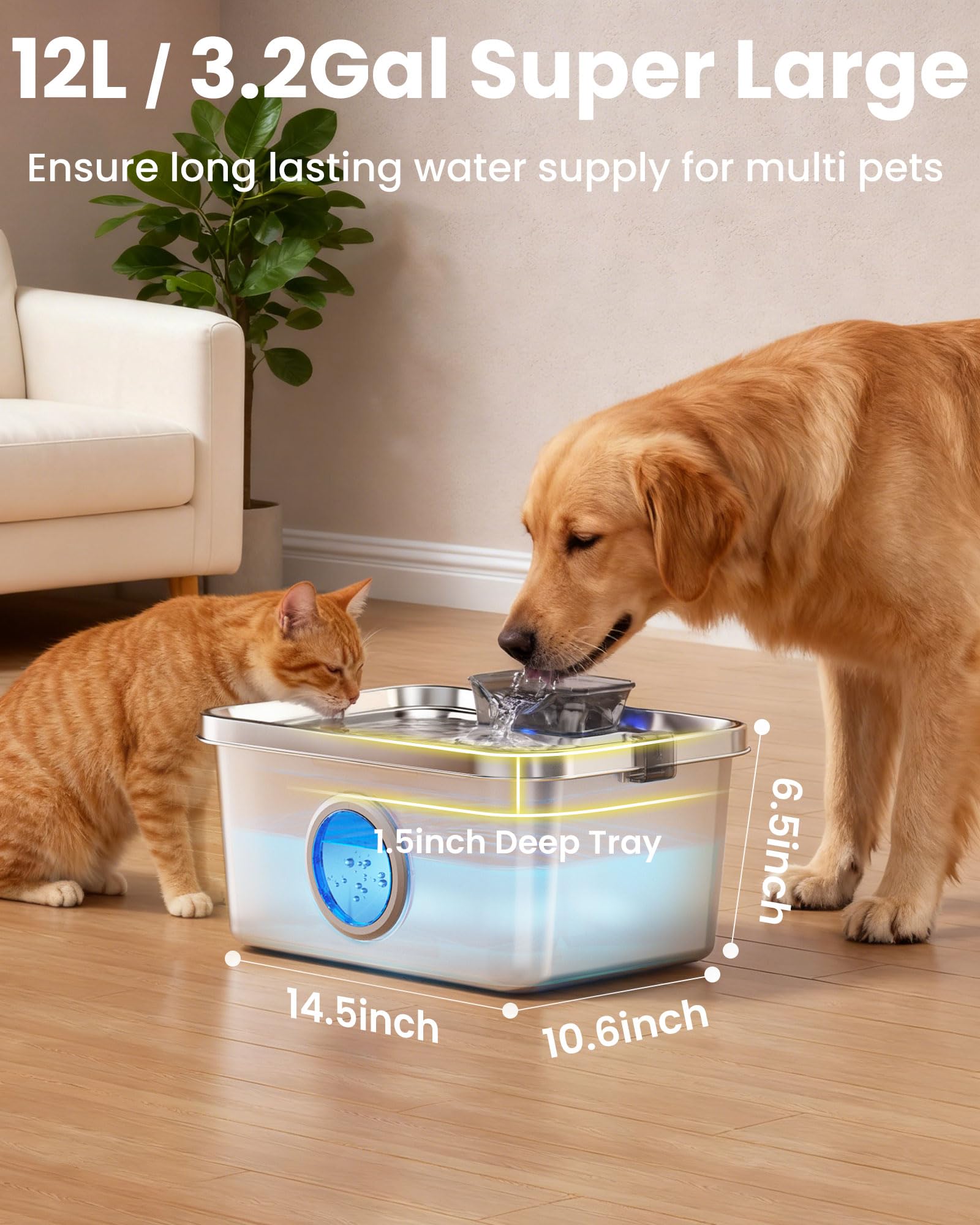 Ficuswin stainless steel unit with 5-stage filtration for clean water.