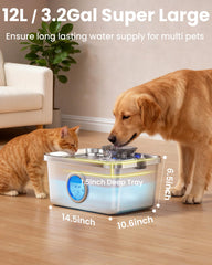 Ficuswin stainless steel unit with 5-stage filtration for clean water.