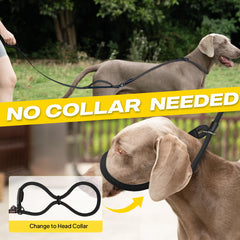 Fida 2in1 slip lead head-collar transition for easy training adjustments.