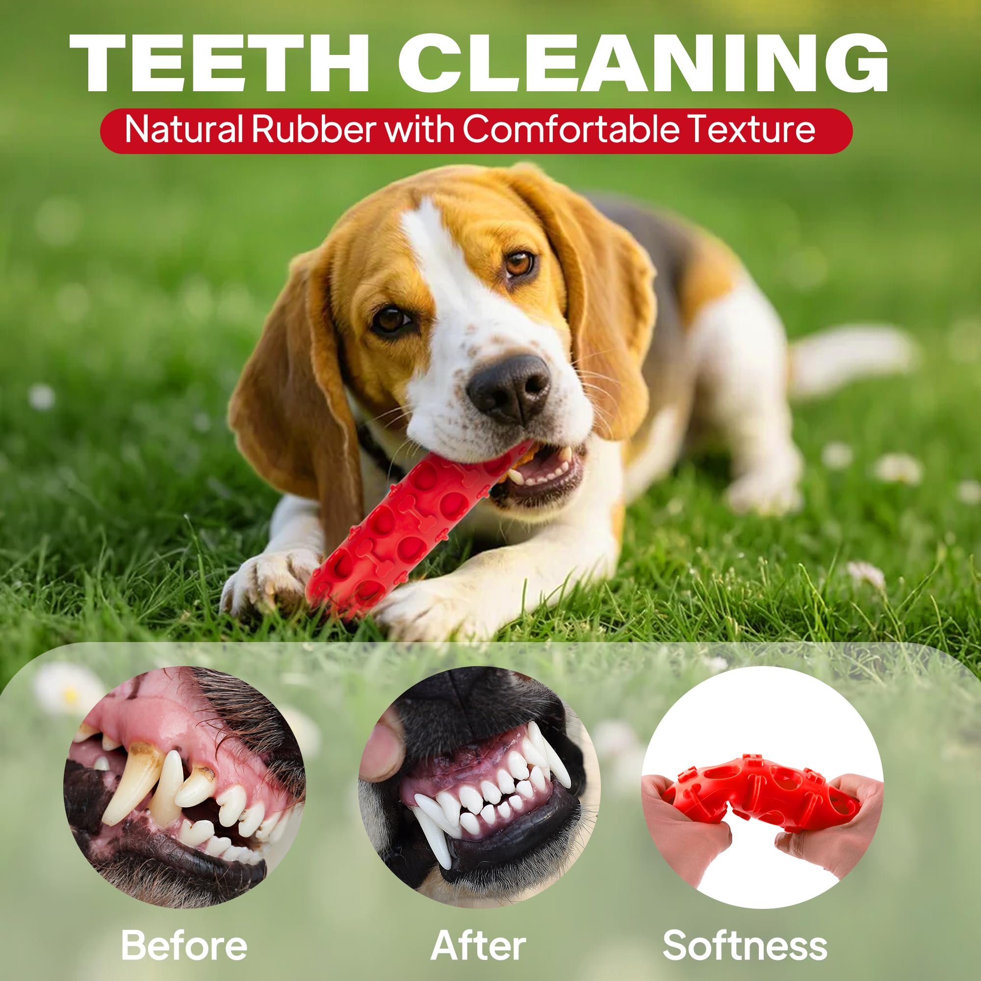 Fida 2-in-1 teething toy hollow shell for treat-dispensing playtime.