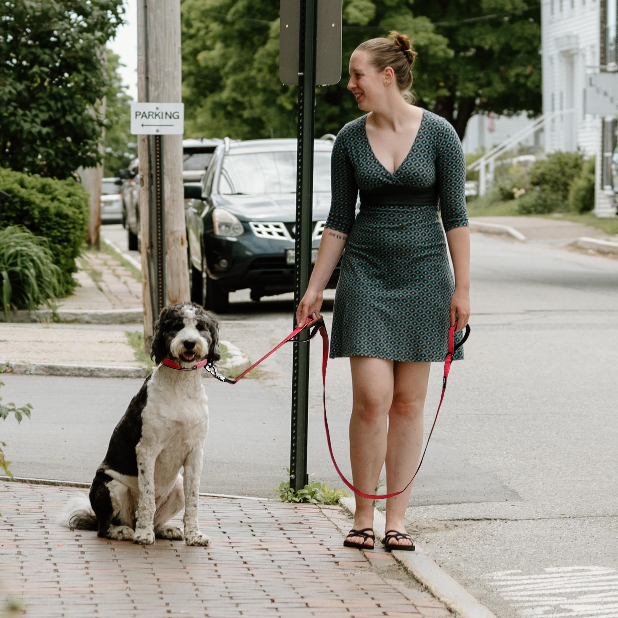 Fida leash with 360-degree rotating rustproof swivel clasp to prevent twisting.