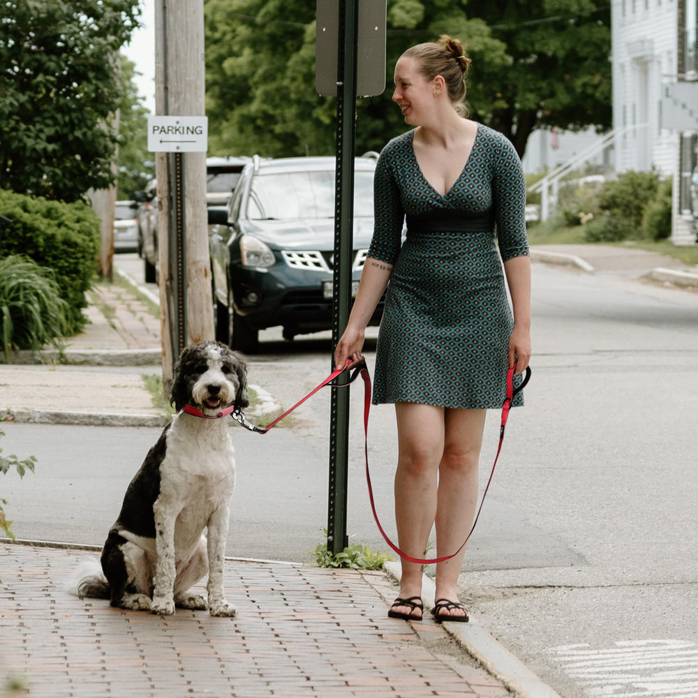 Fida leash with 360-degree rotating rustproof swivel clasp to prevent twisting.