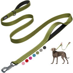 Fida 6ft heavy-duty leash clip hook for quick secure attachment during walks