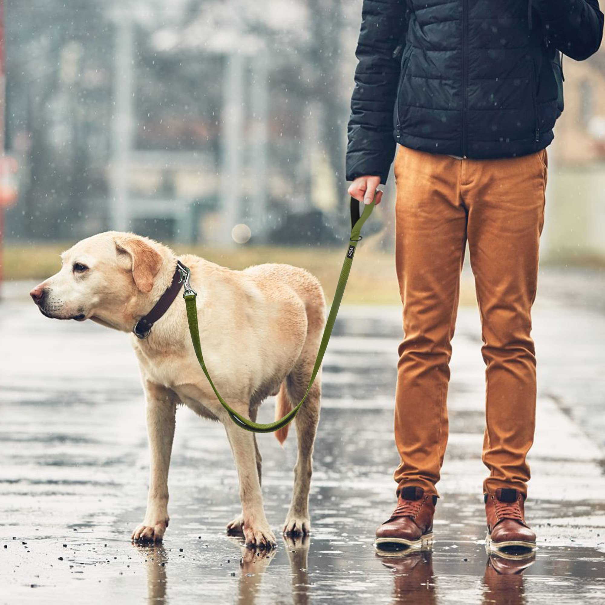 Fida 6ft leash in use in park for versatile walking