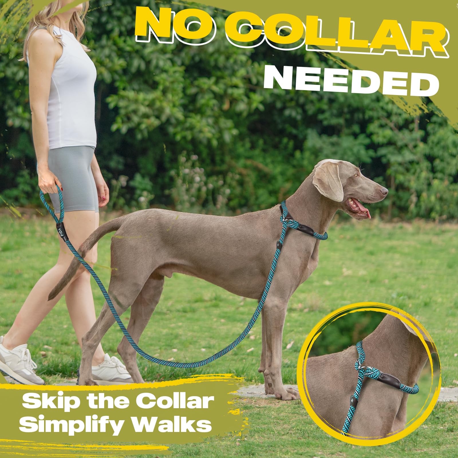 Fida 6ft slip lead fits large dogs for comfortable outdoor jogging