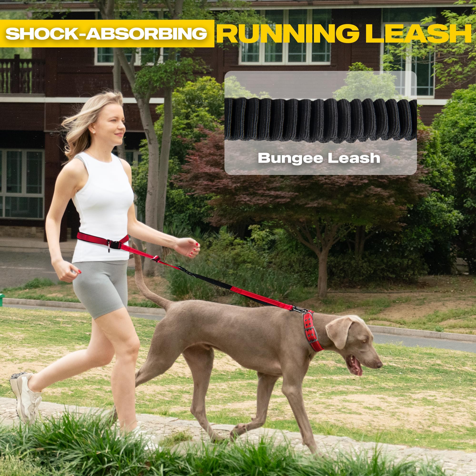 Fida 6-in-1 leash dual-handle traffic mode enhances street safety.