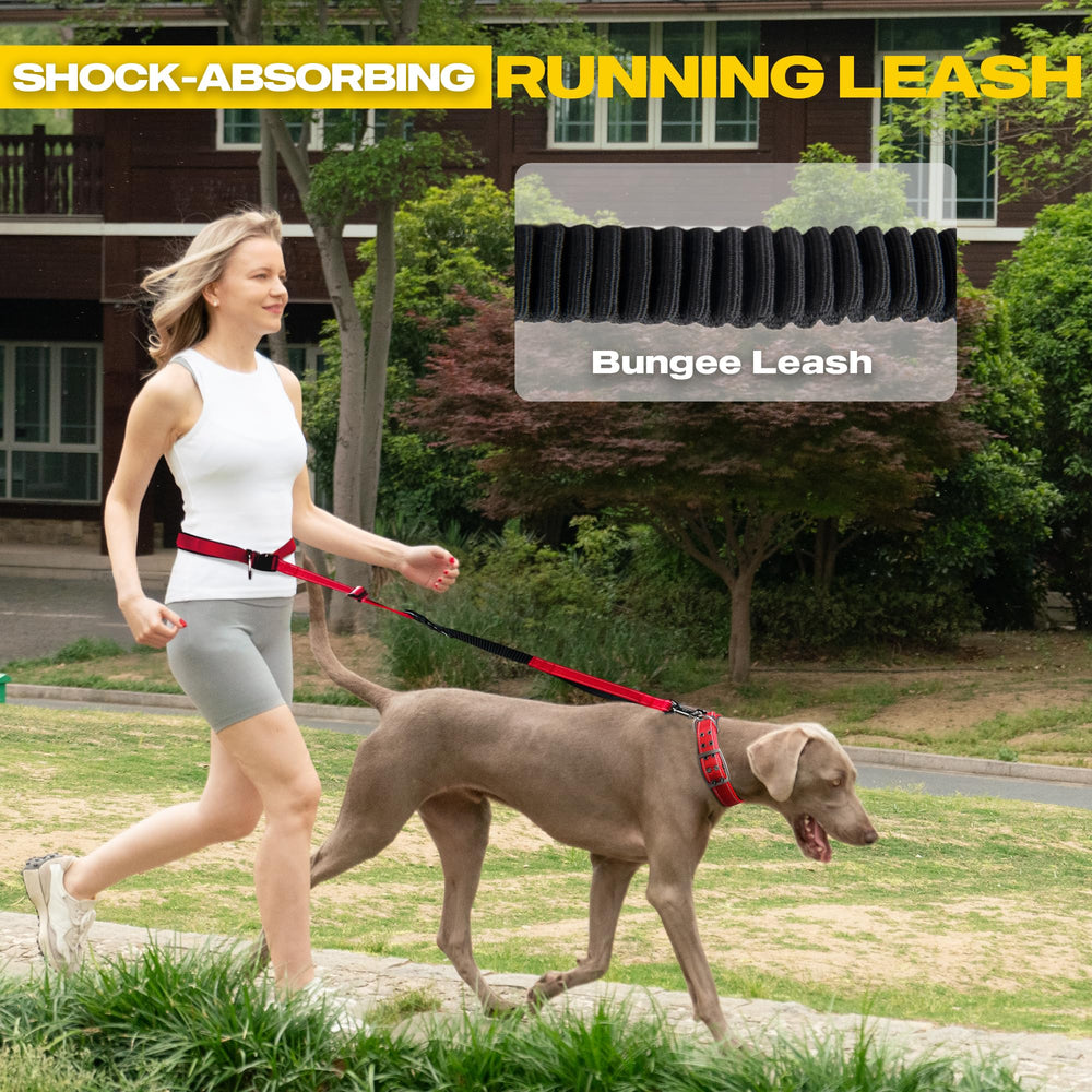 Fida 6-in-1 leash dual-handle traffic mode enhances street safety.