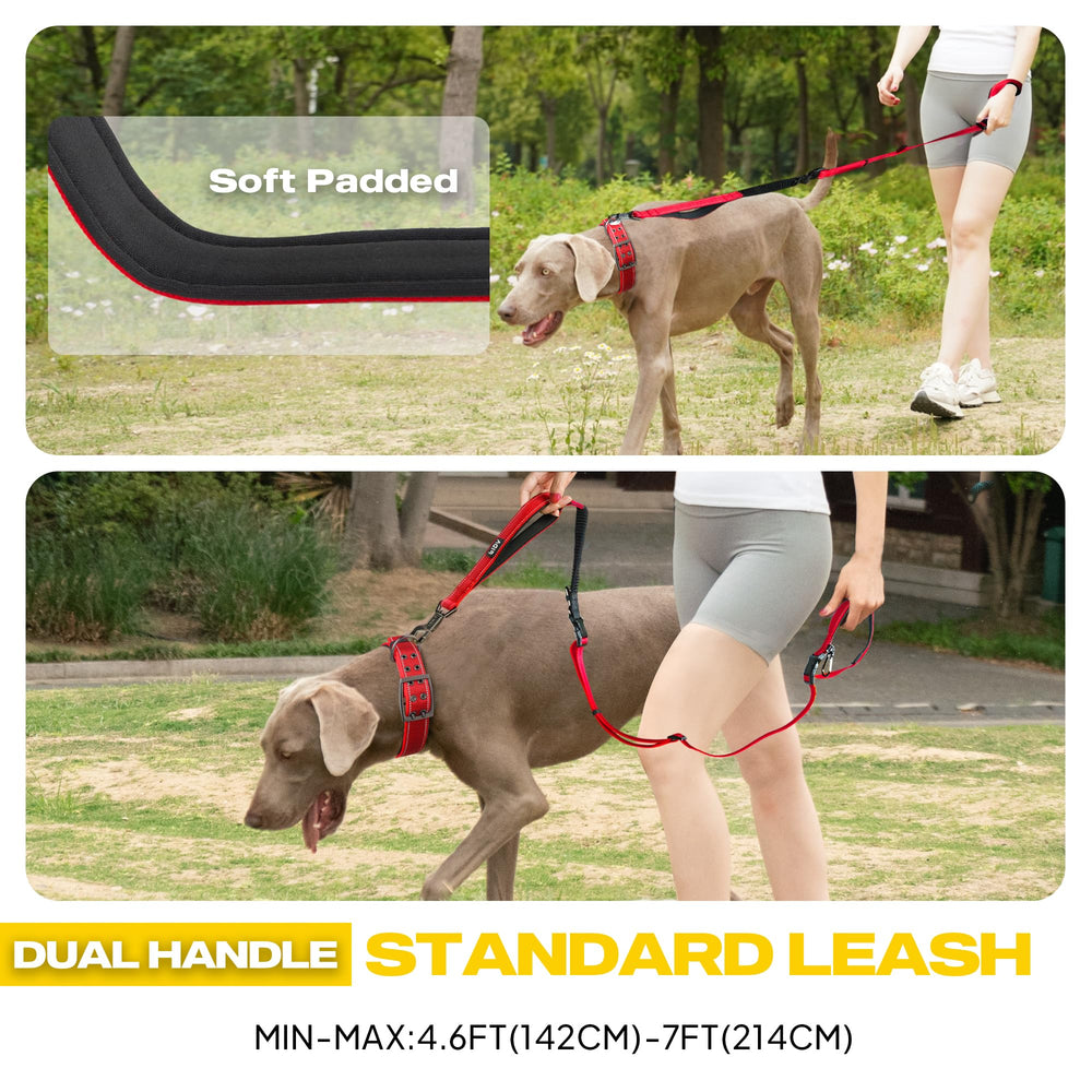 Fida 6-in-1 leash waist-running mode supports comfortable jogging with dog.