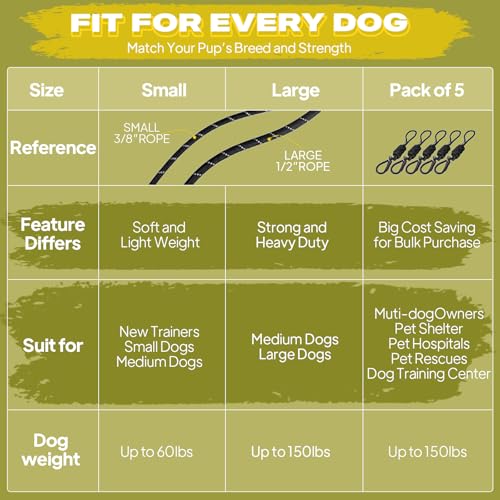Fida comfortable grip rope leash reduces hand fatigue on long walks.