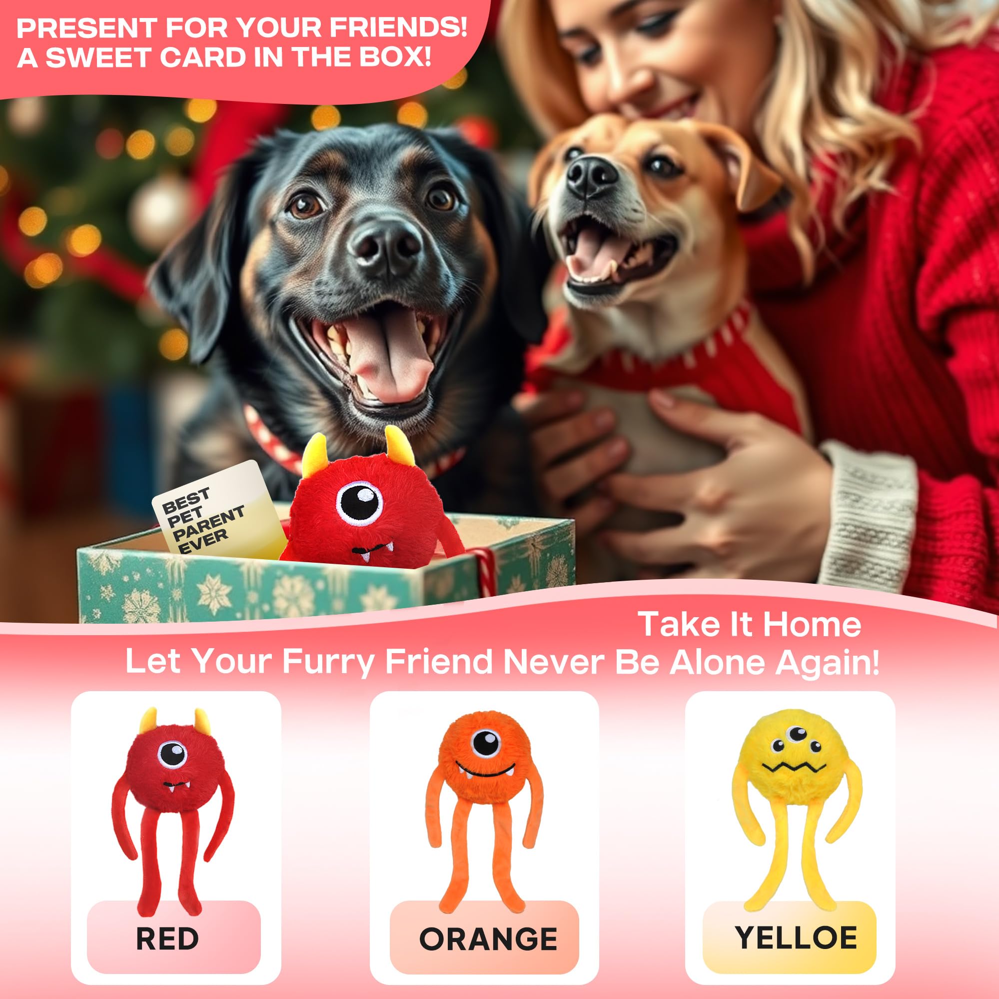 Fida dog chew toy gift card included for special occasions