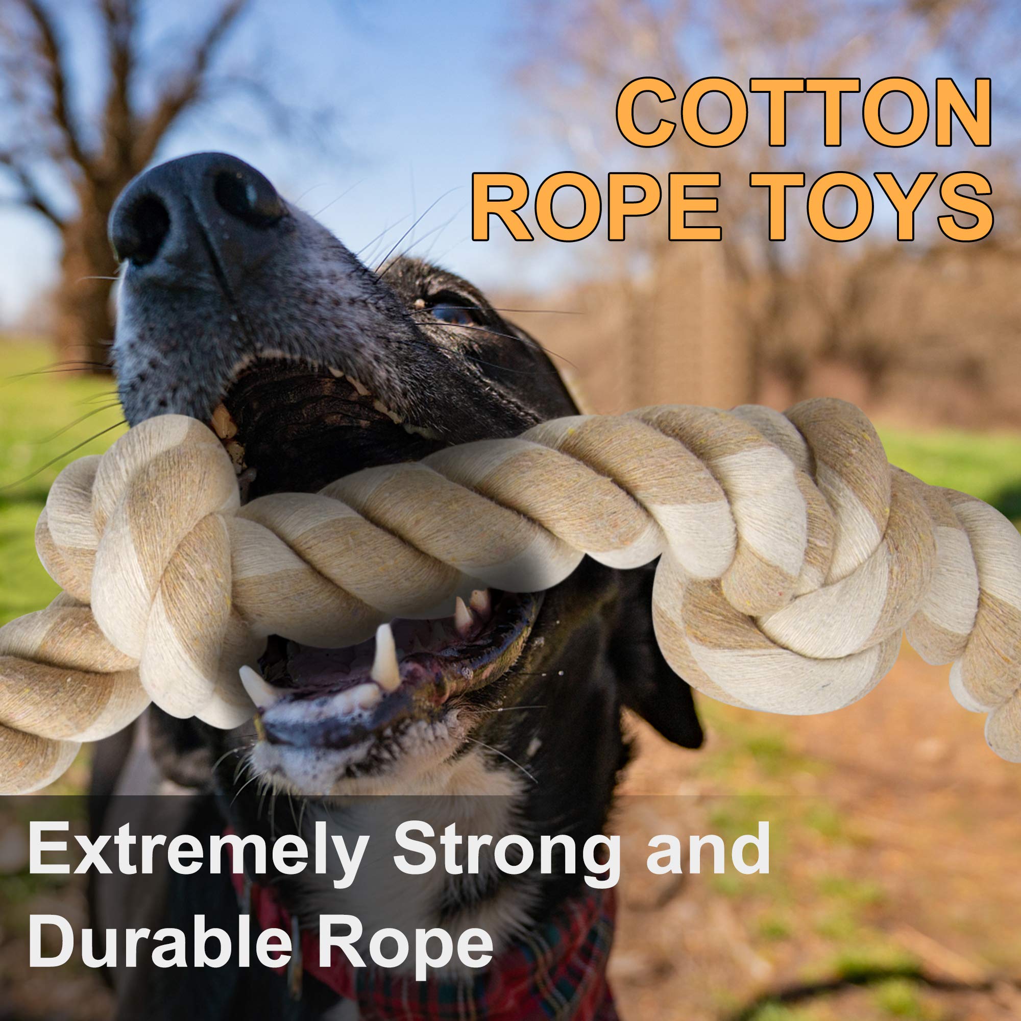 Fida dog rope toy 3ft tug action demonstrates ideal tug-of-war play