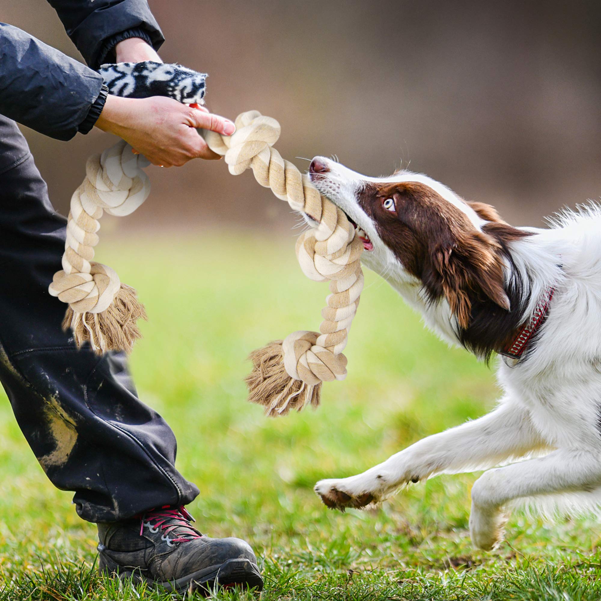 Fida dog rope toy indoor-outdoor play for versatile bonding