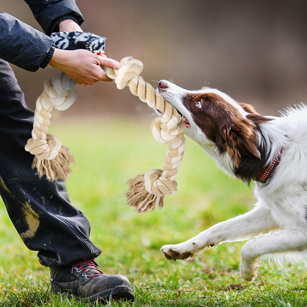 Fida dog rope toy indoor-outdoor play for versatile bonding