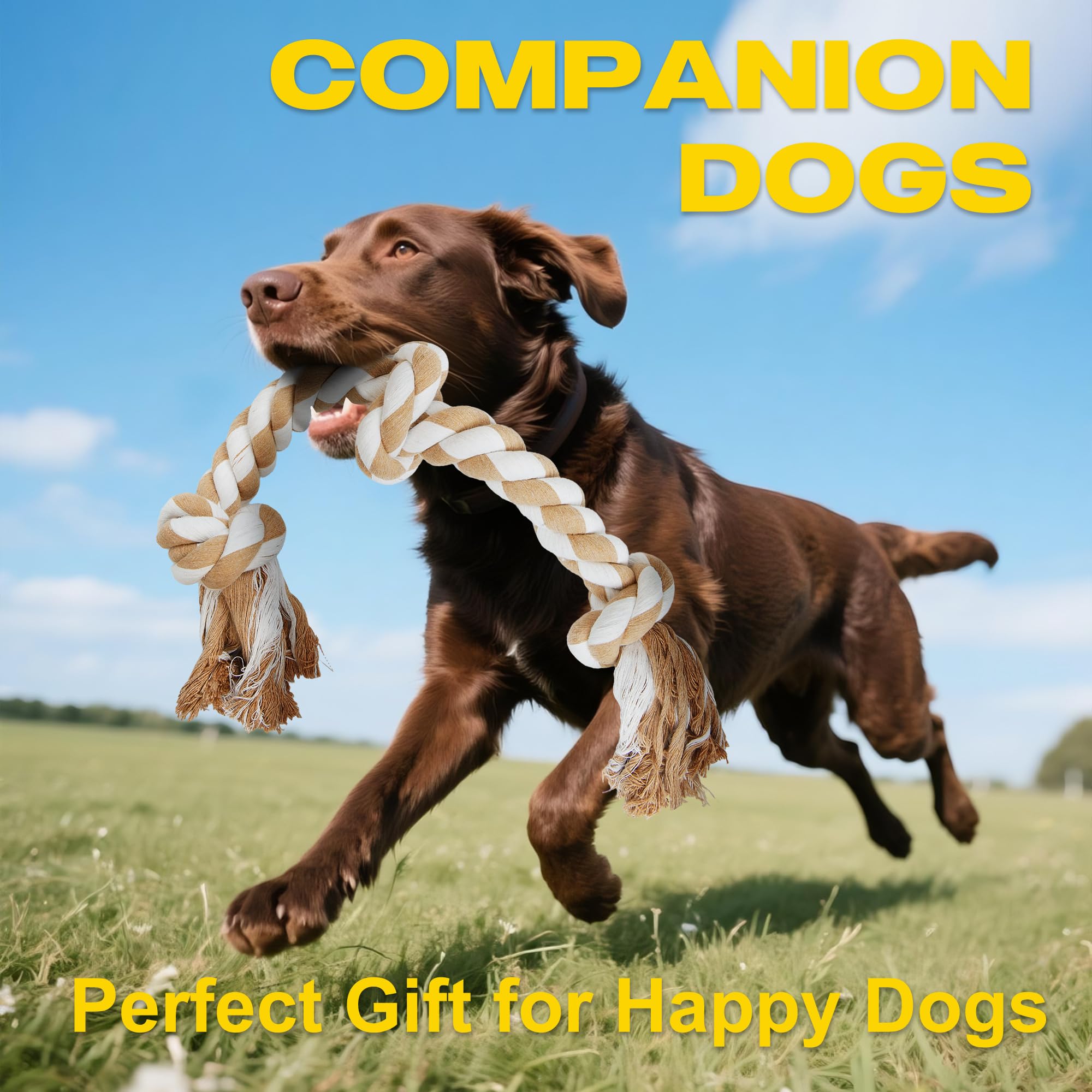 Fida gift-ready rope toy for big dogs, promoting interactive fun and boredom relief.