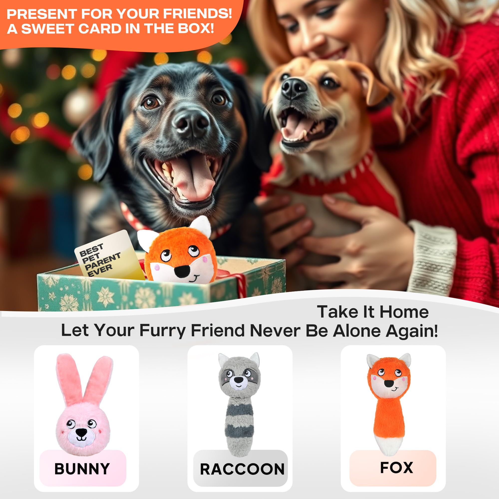 Fida gift-card included packaging ready to gift to dog lovers