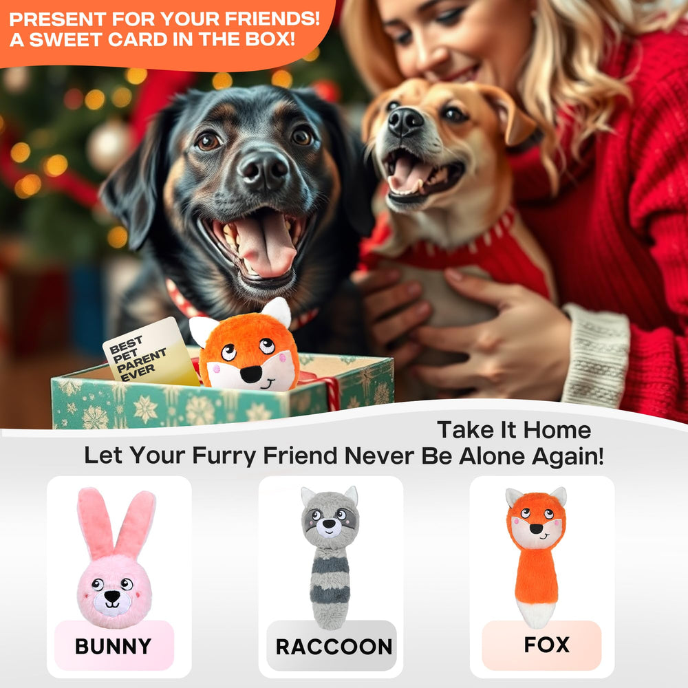 Fida gift-card included packaging ready to gift to dog lovers