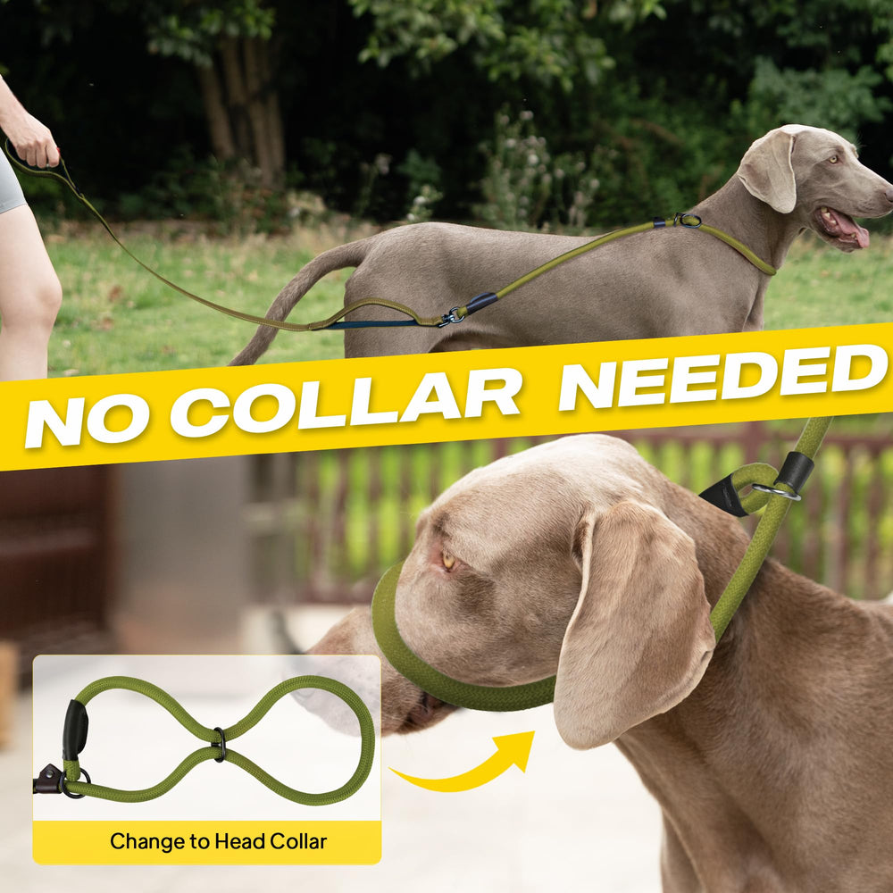 Fida heavy-duty no-pull leash with thick rope for strong dogs.