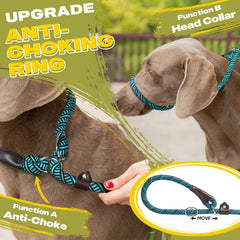 Fida heavy-duty nylon rope leash offers strength with light weight for daily use