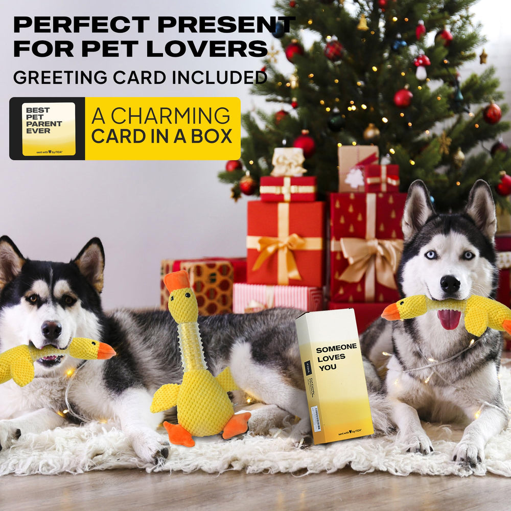 Fida indestructible dog toy for large dogs helps channel energy safely.