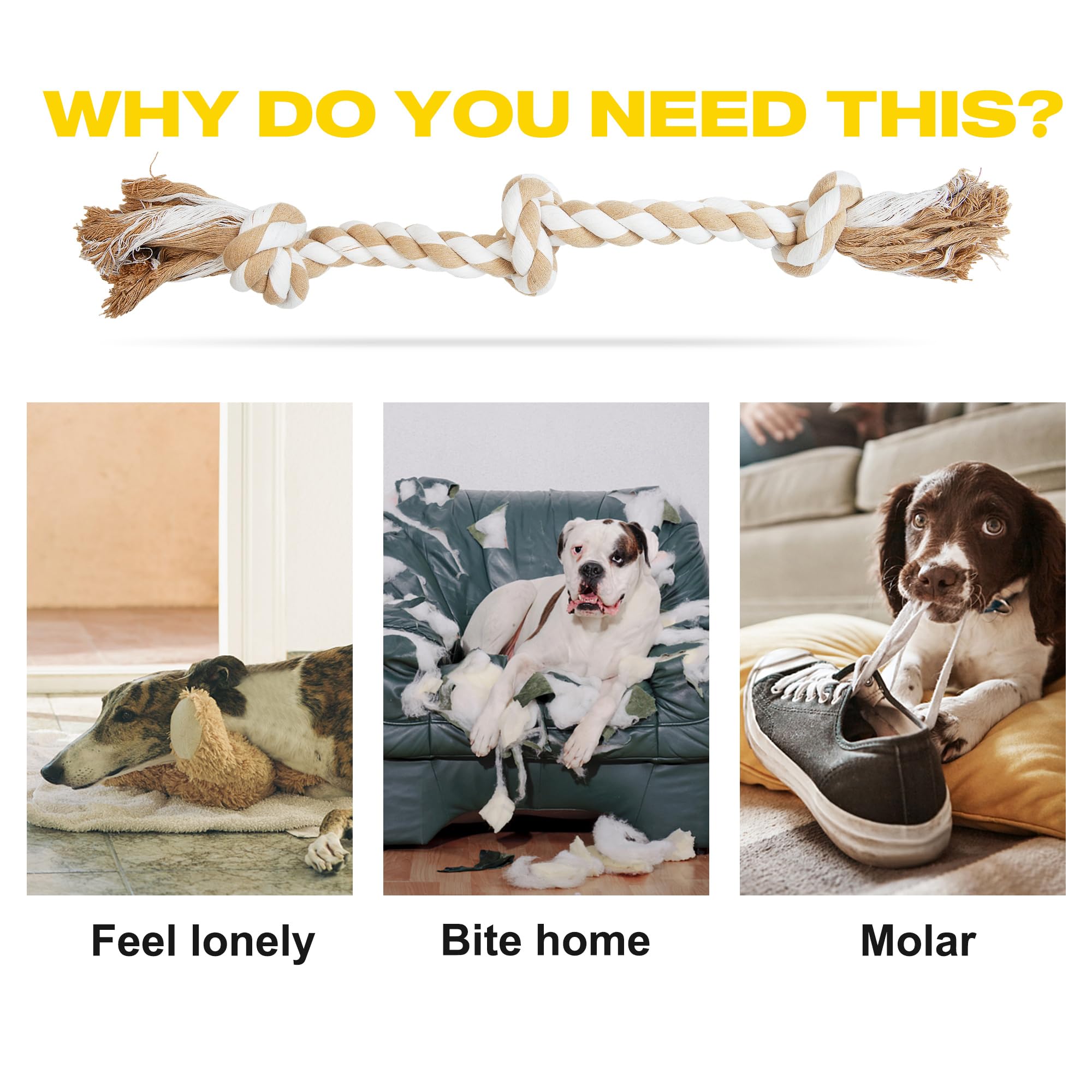 Fida indoor-outdoor dog rope toy for versatile play and exercise.